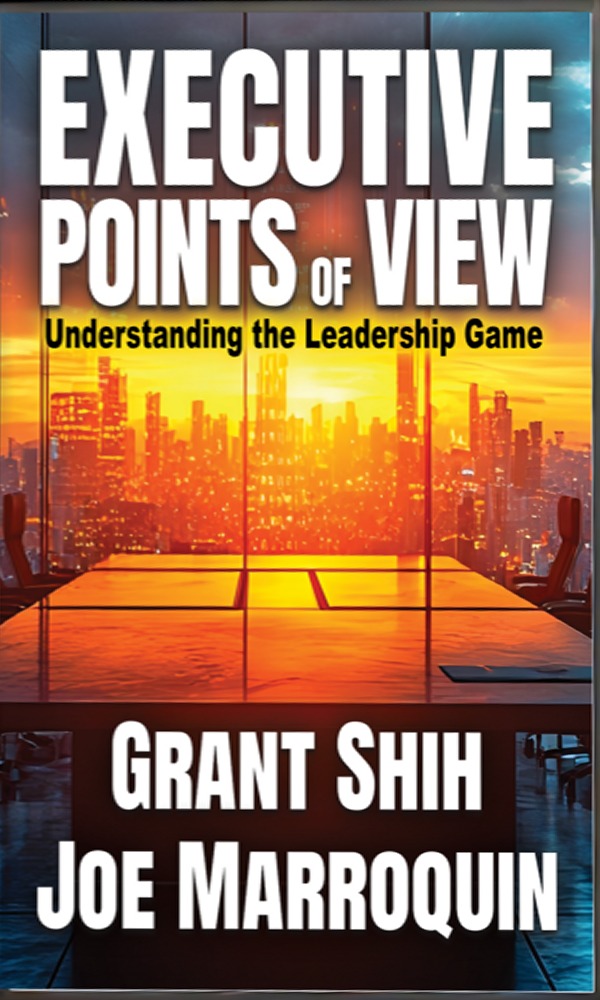 Executive Points of View book cover